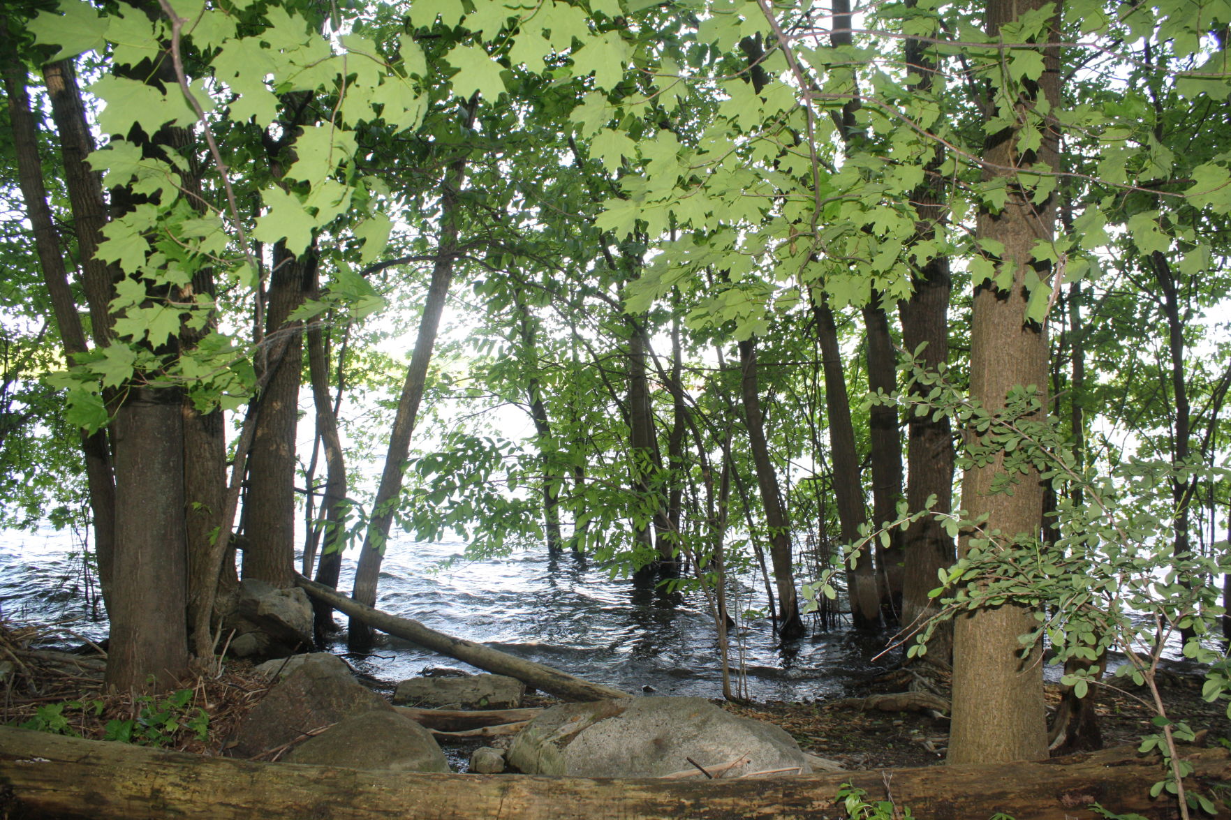 Knight Point State Park